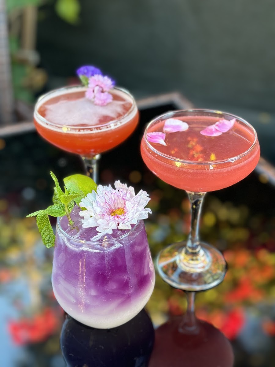 Bungalow On Rose Coastal Thai Restaurant & Bar Photos 2